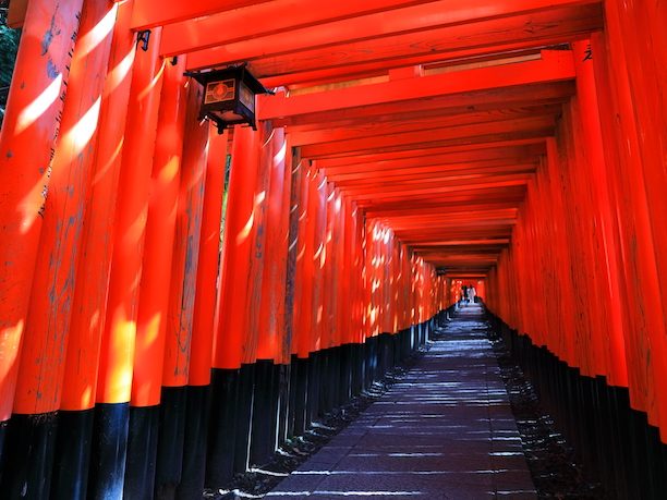 The vermilion gates at Fushimi Inari