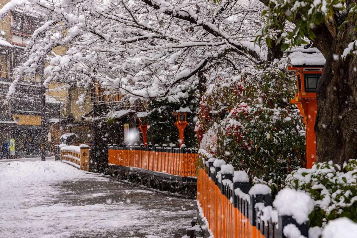 Snow along the Shirakawa canal in Gion